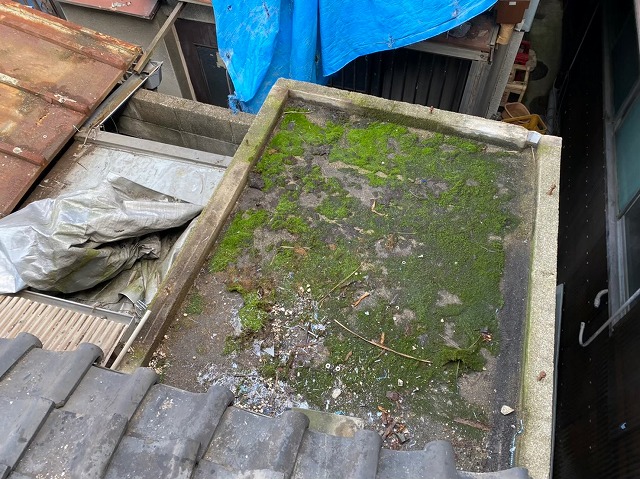 苔が発生した屋根